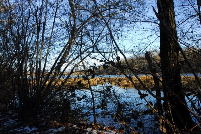 2009 Crapaudrome de Guiperreux 19